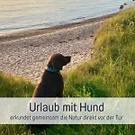 Lejlighed Wind Ruegen - Sauna, Kamin & Hund Willkommen, Ruhig & Naturnah, 200 M Zur Ostsee - Elements *