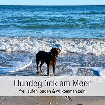 Wind Ruegen - Sauna, Kamin & Hund Willkommen, Ruhig & Naturnah, 200 M Zur Ostsee - Elements *