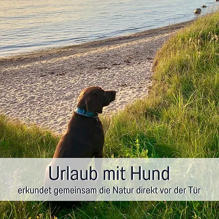 Appartement Wind Ruegen - Sauna, Kamin & Hund Willkommen, Ruhig & Naturnah, 200 M Zur Ostsee - Elements *