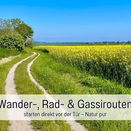 Appartement Wind Ruegen - Sauna, Kamin & Hund Willkommen, Ruhig & Naturnah, 200 M Zur Ostsee - Elements *